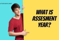 what is assesment year