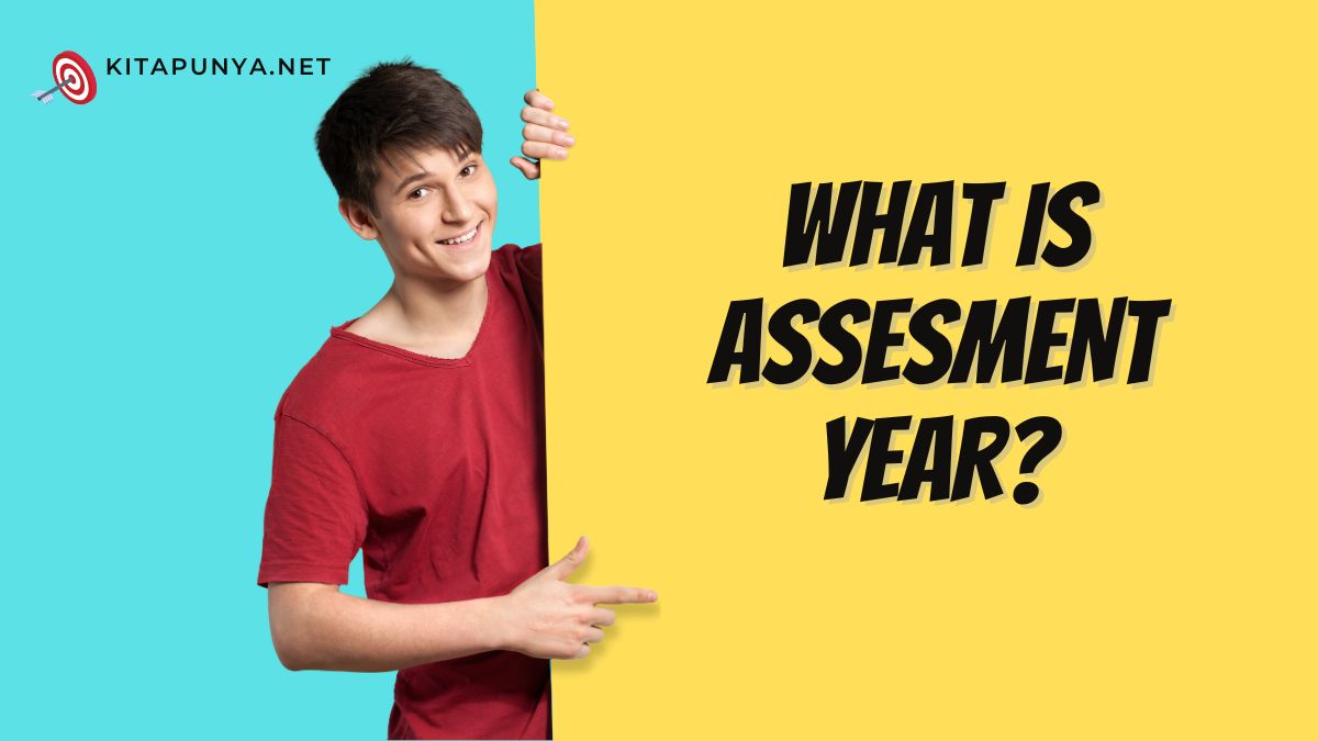 what is assesment year