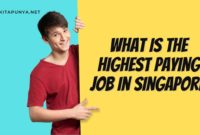 what is the highest paying jobs in singapore