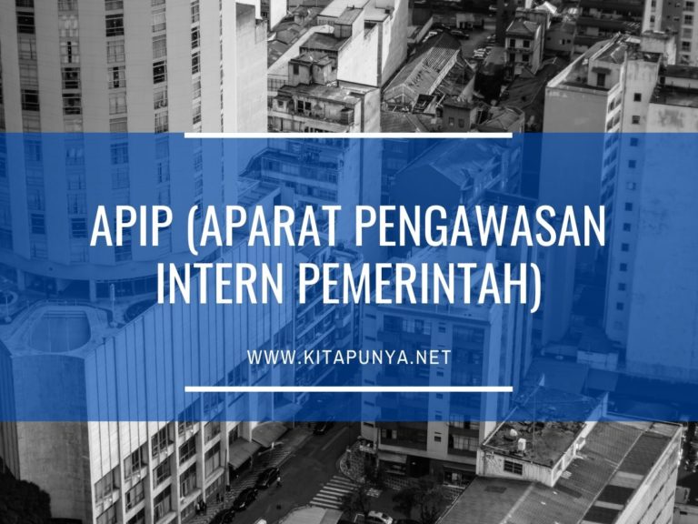 Pengertian APIP Adalah | Fungsi Dan Tugas | Arti Kata