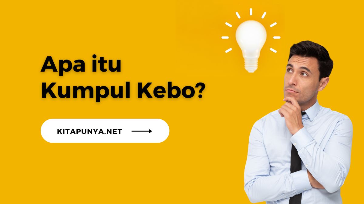 apa itu kumpul kebo