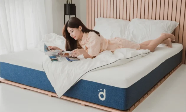 kasur domibed