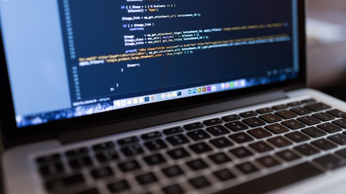 wordpress developer